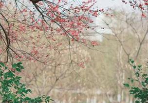微密圈 – 辣妈女神皮衣照大公开，快来免费领取，期望即使只是偷偷看，也能变得灵动！