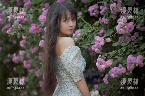 让人眉目传情的黑猫猫ovo，无圣光的猫女仆之路